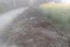 Narnaul Weather: सीजन का पहला पाला गिरा; न्यूनतम तापमान 2.5 डिग्री सेल्सियस पहुंचा