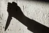 पहले 92 वर्षीय बुजुर्ग और उसके भाई की हत्या: फिर करवाई से बचने के लिए छिपा आरोपी