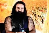 बेअदबी मामले में डेरा मुखी को हाईकोर्ट से मिली राहत, ट्रायल कोर्ट में चल रही कार्यवाही पर लगाई गई रोक