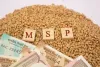 पंजाब में सभी फसलों पर MSP-छोटे किसानों को मिलेगी  पेंशन