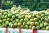 मोहाली नगर निगम ने नारियल पानी से कमाए 1.06 करोड़