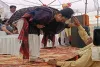 कार्तिकेय शर्मा के खुलासे पर हरियाणा की सिंचाई मंत्री श्रुति का किनारा