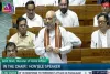 'What will you get by saving Pakistan', Home Minister Amit Shah got angry in Lok Sabha on P Chidambaram's clean chit