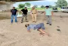 All four accused arrested in Mohali car robbery case: Caught after an encounter, one shot in the leg,