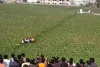 IAF Plane Crashes in Prayagraj Lake; Dramatic Video Shows Aircraft Struggling in Mid-Air.