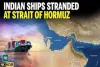 Iran Seizes India-Bound Ship in Strait of Hormuz; Rajasthan Officer Stranded