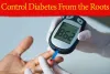 Control Diabetes from the Roots: Start Doing These 4 Things and Drop This One Habit Today!