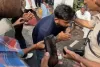 CJP Protest at Jantar Mantar: Abhijit Deepke Pleads for Shelter as Students Brave Rain