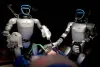 Medical Marvel: Humanoid Robots 'Surgie' Perform World's First Gallbladder Surgery on Pigs
