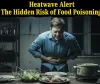 Heatwave Alert: The Hidden Risk of Food Poisoning and How to Stay Safe