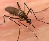 Delhi Reports 152 Dengue, 39 Malaria Cases; Legal Action Against 3,547 for Mosquito Breeding