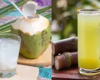 Coconut Water vs Sugarcane Juice: Which Healthy Beverage Should You Choose?