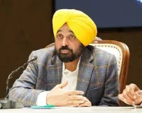 Cash-for-Transfer Scam: Punjab AAP Government Moves Supreme Court Against HC Order on CBI Probe