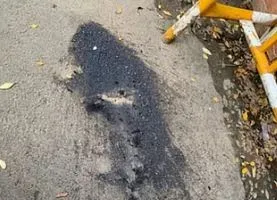 राजभवन पर पेट्रोल बम फेंकने के आरोपी के खिलाफ NIA की चार्जशीट, जाने पूरा मामला