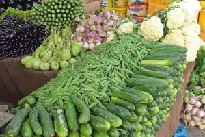 पंजाब से हरियाणा आने वाले आलू, मटर और किन्नू की आपूर्ति बंद, दामों में उछाल…