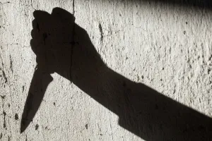 पहले 92 वर्षीय बुजुर्ग और उसके भाई की हत्या: फिर करवाई से बचने के लिए छिपा आरोपी