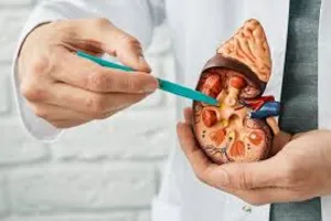 किडनी कैंसर के शुरुआती स्टेज में शरीर में नजर आते हैं ये 5 लक्षण