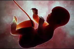 क्या भविष्य में पैदा नहीं होंगे लड़के ?, रिसर्च में हुआ खुलासा , टेंशन में वैज्ञानिक
