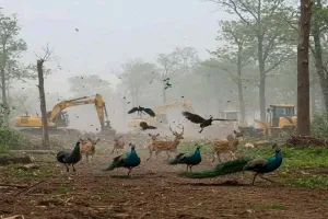 तेलंगाना सरकार ने 400 एकड़ भूमि मामले में एआई-जनित 'फर्जी' सामग्री के खिलाफ कार्रवाई के लिए खटखटाया HC का दरवाजा 