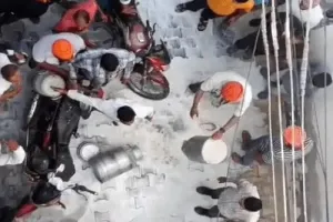 Haryana 'Milk Strike' Called Off Temporarily; Dairy Farmers Issue Ultimatum to Govt Till October 17