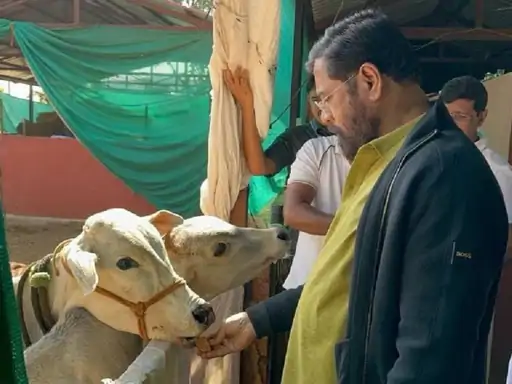 gaumata-1_1727692120