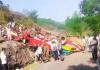 Fatal Plunge in Udhampur: 16 Dead as Bus Veers Off Road