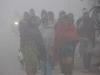 Sonipat Weather: हवा चली तो छट गया कोहरा और प्रदूषण; शीतलहर से लोगों की बढ़ी मुश्किलें