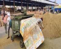 'Raw lottery' will be abolished in Haryana's mandis, strict orders from High Court!