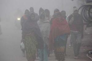 Sonipat Weather: हवा चली तो छट गया कोहरा और प्रदूषण; शीतलहर से लोगों की बढ़ी मुश्किलें