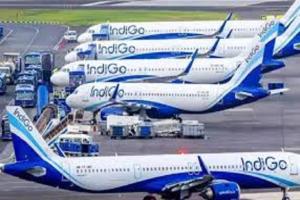 An investigation will be launched into how IndiGo established its monopoly: Allegations of misuse of power