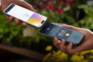 Apple Pay to Launch in India Soon: iPhone Users Can Pay Without Swiping Cards; Talks Begin with Mastercard and Visa.