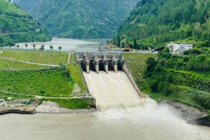 Water Supply From BSL Halted in Haryana: Government Seeks Answers From BBMB