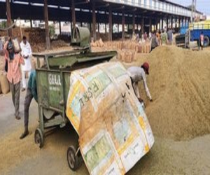 'Raw lottery' will be abolished in Haryana's mandis, strict orders from High Court!