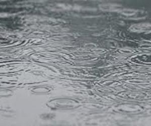 Punjab Weather Update: Rain Breaks Heatwave; 2-Day Orange Alert Issued