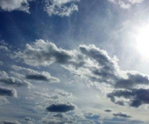 Punjab and Chandigarh Weather Update: Dry Spell Expected Until April 15