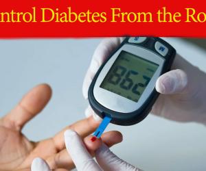 Control Diabetes from the Roots: Start Doing These 4 Things and Drop This One Habit Today!